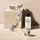 Eau de Parfum Zadig & Voltaire Zadig