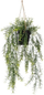 Bimë artificiale varëse Asparagus, 50 cm, me vazo, jeshile