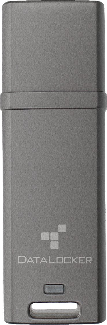 USB флеш DataLocker DL GO, 64GB, USB 3.2, црна