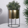 Mbajtëse vazo Vilde Flowerpot Plant Stand, metal 31 cm, diametër 15 cm, ari me të zezë