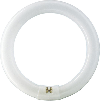 Llambë fluoreshente Philips Master TL-E Super GR10q (8727900840537), 22W, e bardhë