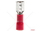 Konektor flat female i izoluar, 5.6mm, 0.5-1.5mm² 10A, i kuq