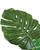 Bimë artificiale Monstera, 60 cm