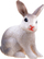 Figurë lodër lepur Bunny ZA3383, 4.5cm, plastik, shumëngjyrësh