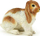Figurë Papo - Lepuri Holland Lop