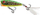 Karrem imitues Salmo Fury Pop Horny Toad, 7 cm (QFP005)
