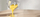 Blender Xiaomi Blender Pro, jug blender, motor i fortë, i bardhë