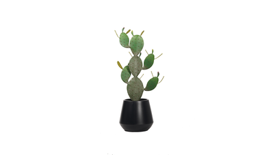 Lule artificiale Verde Decor Cactus Opuntiana Ficus Indica, 118cm