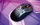 Maus Genius Darmoshark GN1 Gaming, pa kabllo, i zi