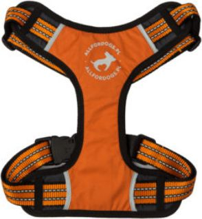 Parzmore sportive për qen All For Dogs, L 70-125 cm, portokalli