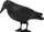 Figurë korbi për me zmbraps zogjtë Garden Raven, plastike e fortë, për kopsht, e zezë