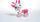 Lodër interaktive Tiny Love Roe-deer Florence, e pembe