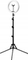 Dritë unazore BSC Ring Light 10", tripod, 10W, e bardhë