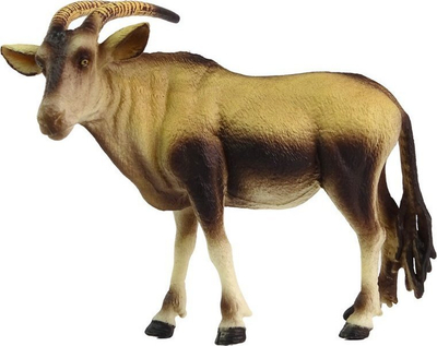 Pamja 2