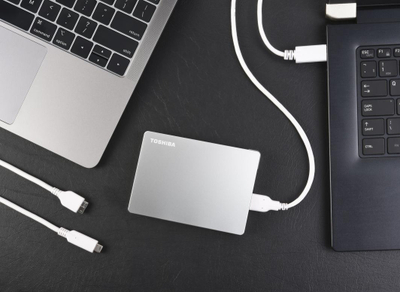Disk i jashtëm HDD Toshiba Canvio Flex (HDTX140ESCCA), 4TB, i argjendtë
