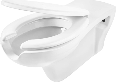 WC i varur Deante Vital, me ulëse, për persona me lëvizshmëri të kufizuar, i bardhë