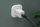 Karikues muri Digitus GaN Mains Charger, 2x USB C PD 3.0, 65W, i bardhë