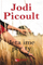 Jeta Ime Per Ty - Jodi Picoult