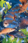 Kartolinë 3D Worth Keeping Mini Wargacz Rainbow Trout, dekorative, shumëngjyrëshe
