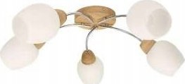 Lampadar tavani Spot Light Santa 8551574, 5xE27, IP20, e bardhë