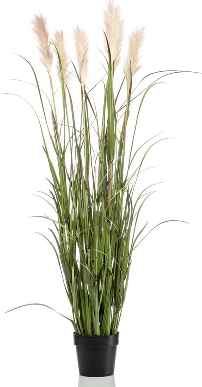 Bimë artificiale Emerald Pampas Grass, 160 cm, në vazo të zezë