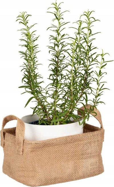 Shportë për mbajtje gjërash Wenko Juna S, 20 x 15 x 15 cm, jute plastike, kafe