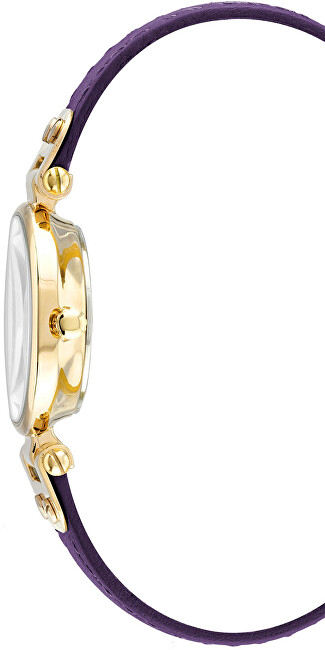 Orë dore Anne Klein Analog 10/9442CHPR