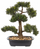 Bimë artificiale bonsai dekorative, 44 cm, material sintetik, jeshile me vazo të zezë