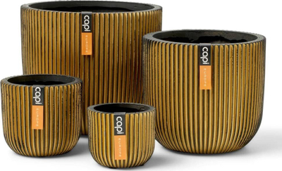 Set me vazo Capi Europe Nature Groove Gold, 4 copë, për mrena, ngjyrë ari
