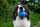Lodër top për qen Kiwi Walker Rubber Ball, TPR, 6.5 cm, blu