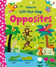 Lift The Flap Opposites - Felicity Brooks