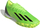 Atlete Adidas, 1911284-23762470