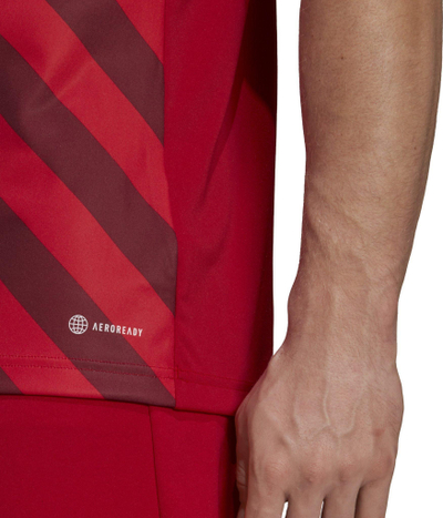 Bluzë sportive adidas Entrada 22 Graphic Jersey M HB0572, poliester i riciklume, teknologji AEROREADY, shumëngjyrëshe
