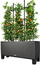 Mbeshtetëse kacavjerrëse Lechuza TRIO Trellis, 170cm, 113cm, e zezë