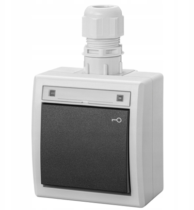 Çelës elektrik sipërfaqësor Aquant 2K 5007-65, IP65, me lidhës kablli, gri