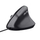 Maus Trust Bayo II, 2 400 DPI, i zi