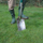 Lopatë kopshti C.K Digging Spade, çelik inoks, 104 cm, jeshile