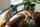 Maus HP 710, RF Wireless + Bluetooth, i zi