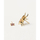 Vathë PDPAOLA COURAGE Beetle AR01-368-U