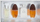 Set parfumi Calvin Klein Women Mini Gift Set, 4 x 15ml, për goca