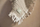 Batanije Muslin 120x120cm Fringe - Olive Green/Ivory