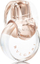 Eau de Toilette Bvlgari Omnia Crystalline, 50ml