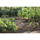 Mbajtëse bimësh Prosperplast Floo Supports, 35x80 cm, plastike, jeshile e errët