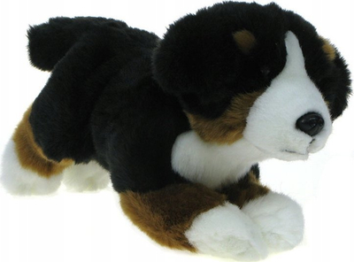 Lodër pelushi Dubi qenushi Bernese Mountain Dog, 27 cm, shumëngjyrëshe
