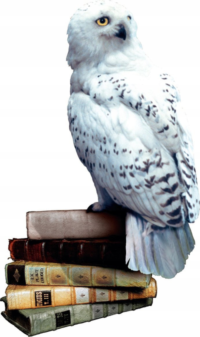 Lodër interaktive Harry Potter Mind Reader Rebel, lojë mendore, shumëngjyrëshe