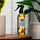 K2 CAYON LEMON 250ml