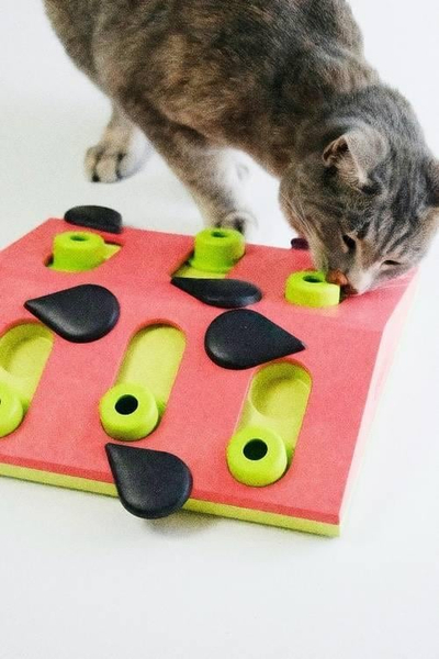 Интерактивна играчка за мачки Nina Ottosson Cat Melon Madness Puzzle and Play, Level 2, пластика, шарена