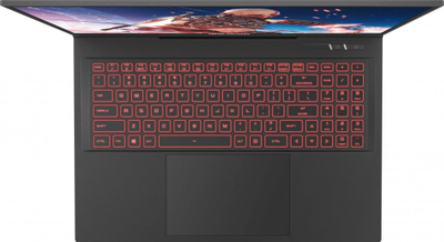 Laptop Dream Machines RG4070-17PL30, 17", Intel Core 9-14900HX, 16GB RAM, 1TB SSD, Nvidia RTX 4070