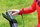 Pistë vrapimi Kingsmith WalkingPad TRR1F R1, 10 km/h, e palosshme, gri e zezë