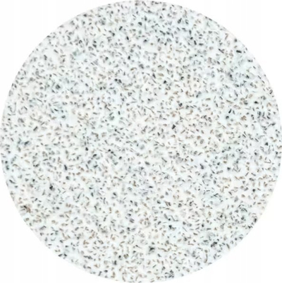 Rimbushje disku pedikyr Staleks Pro Pododisc M, grit 80, 50 copë, të bardha